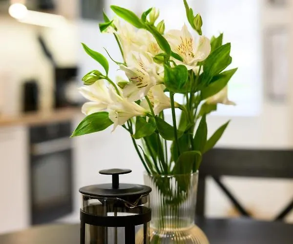 Native Dietla 71 アパート クラクフ