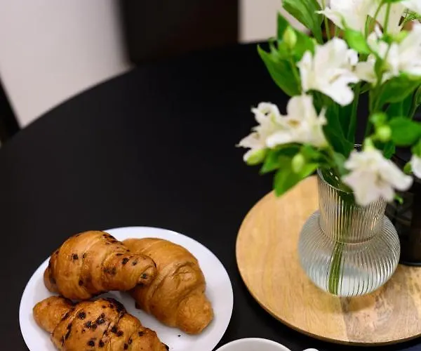 Native Dietla 71 クラクフ