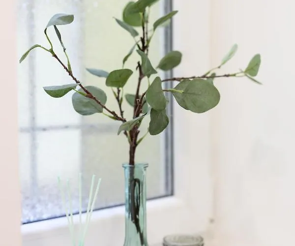 アパート Native Dietla 71 クラクフ